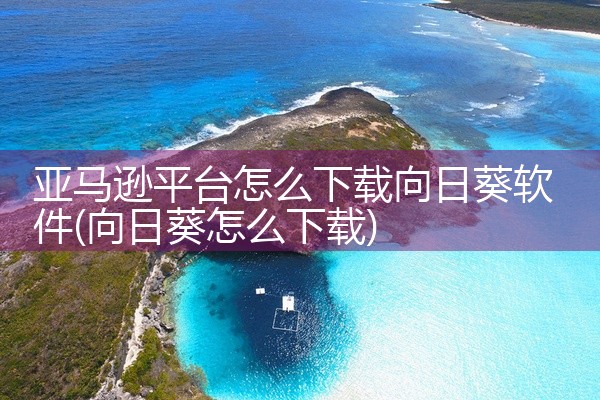 亚马逊平台怎么下载向日葵软件