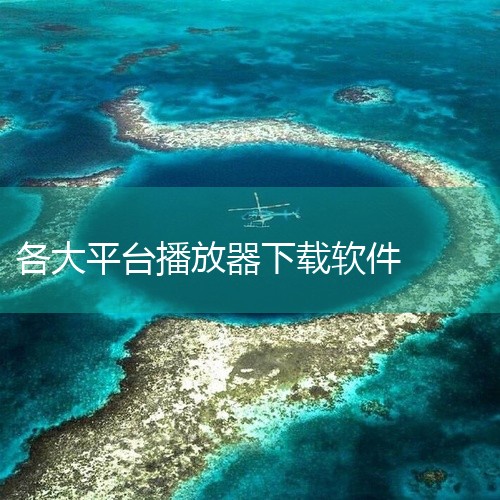 MusicFree：这是一款开源插件化免费音乐播放器，支持Windows、macOS、安卓、Harmony OS、Linux多平台使用，可通过插件添加网易云音乐、QQ音乐等多平台音乐源，聚合全网音乐资,